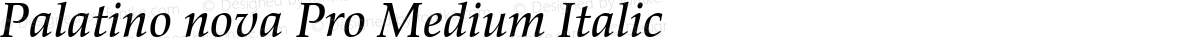 Palatino nova Pro Medium Italic