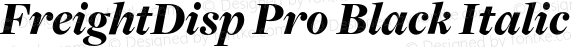 FreightDisp Pro Black Italic