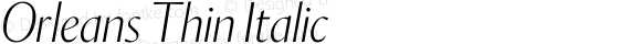 Orleans Thin Italic