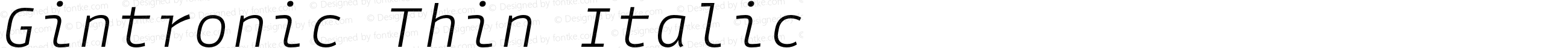 Gintronic Thin Italic