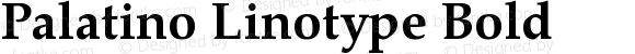 Palatino Linotype Bold