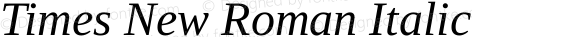 Times New Roman Italic