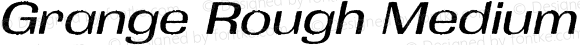 Grange Rough Medium Extended Italic