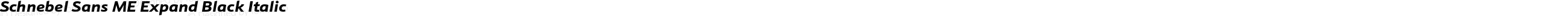 Schnebel Sans ME Expand Black Italic