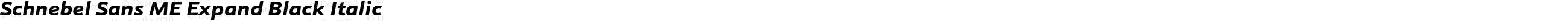 Schnebel Sans ME Expand Black Italic
