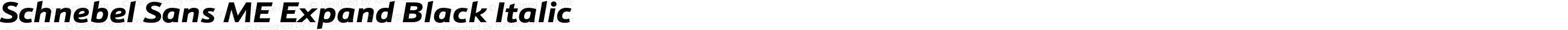 Schnebel Sans ME Expand Black Italic