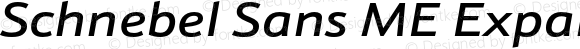 Schnebel Sans ME Expand Medium Italic