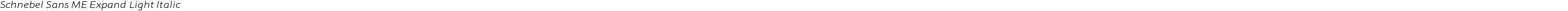 Schnebel Sans ME Expand Light Italic