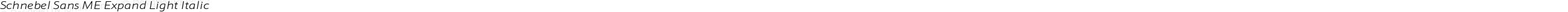 Schnebel Sans ME Expand Light Italic