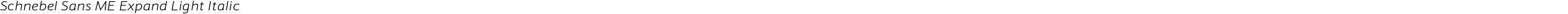Schnebel Sans ME Expand Light Italic