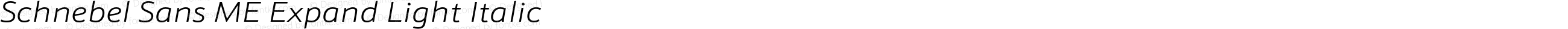 Schnebel Sans ME Expand Light Italic