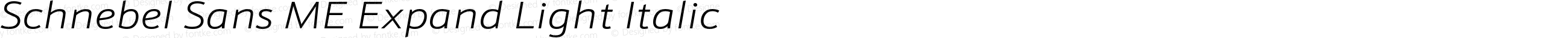 Schnebel Sans ME Expand Light Italic