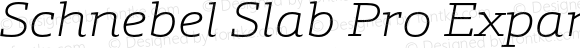 Schnebel Slab Pro Expand Thin Italic