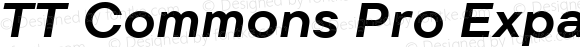 TT Commons Pro Expanded Bold Italic