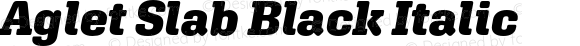 Aglet Slab Black Italic