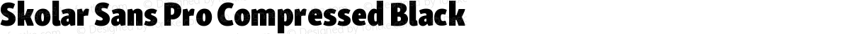 Skolar Sans Pro Compressed Black