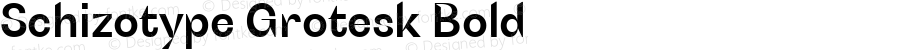 SchizotypeGrotesk-Bold