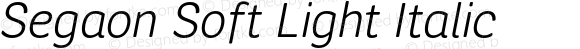 Segaon Soft Light Italic