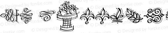 DF Calligraphic Ornaments Regular Version 1.00
