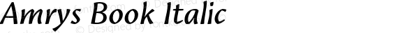 Amrys Book Italic