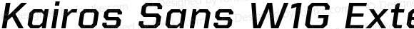 Kairos Sans W1G Extended Medium Italic