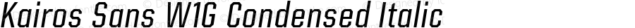 Kairos Sans W1G Condensed Italic