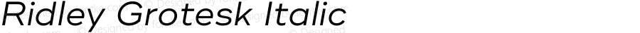 RidleyGrotesk-Italic