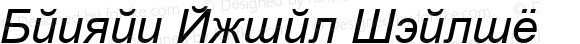 Danzan Arial Italic