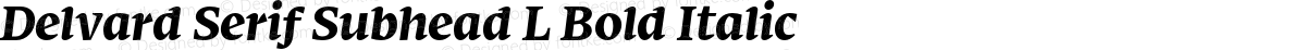 Delvard Serif Subhead L Bold Italic