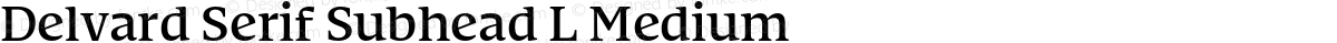 Delvard Serif Subhead L Medium