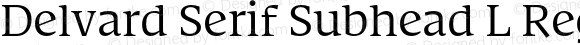 Delvard Serif Subhead L Regular
