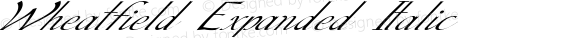 Wheatfield Expanded Italic