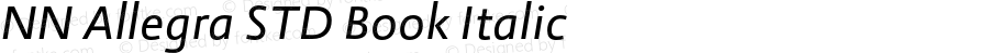 NN Allegra STD Book Italic