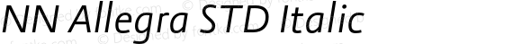 NN Allegra STD Italic