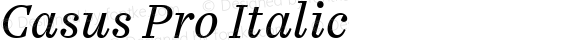 Casus Pro Italic