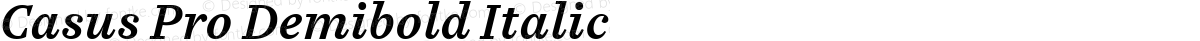 Casus Pro Demibold Italic