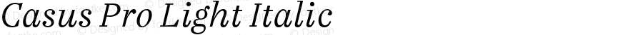 Casus Pro Light Italic