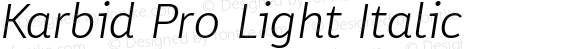 Karbid Pro Light Italic