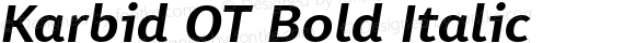 Karbid OT Bold Italic