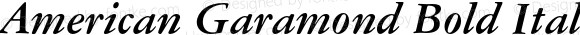 American Garamond Bold Italic 2.0-1.0