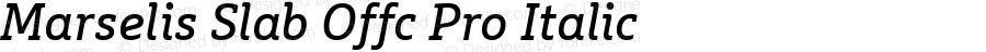 Marselis Slab Offc Pro Italic