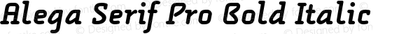 Alega Serif Pro Bold Italic