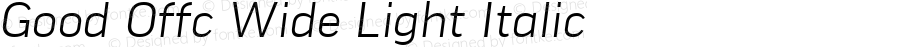 Good Offc Wide Light Italic