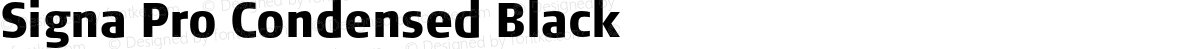 Signa Pro Condensed Black