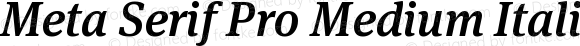 Meta Serif Pro Medium Italic