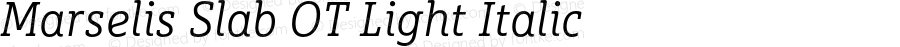 Marselis Slab OT Light Italic