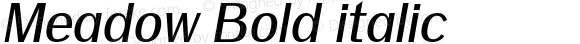 Meadow Bold italic