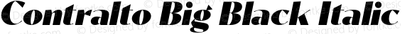 Contralto Big Black Italic