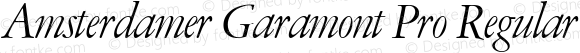 Amsterdamer Garamont Pro Regular Italic