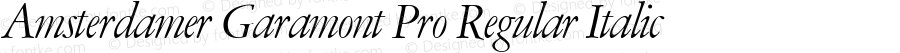 Amsterdamer Garamont Pro Regular Italic Version 1.000 | web-ttf